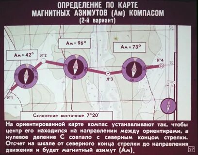 Практическая работа определение местоположения почек