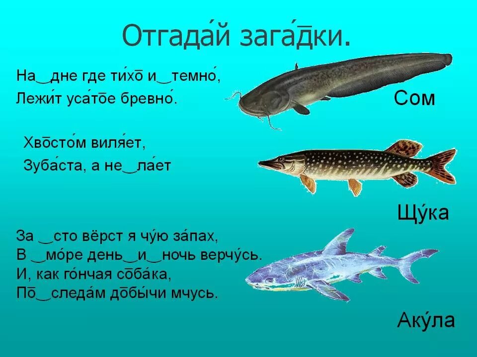 радужные рыбки. мозаика рыба аналог джеко. пазл деревянный "рыбка". мозаика "рыбка". головоломка рыбы.