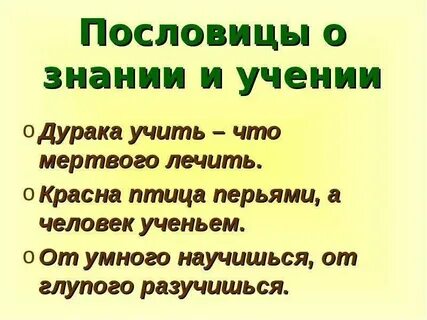10 пословиц об учении и знании