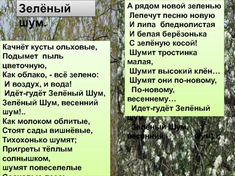 Зеленый звон. Стихотворение зеленый шум Некрасов. Стихотворения н.а.Некрасова зелёный шум. Н Некрасов зеленый шум текст. Стихотворение зелёный ШУС.