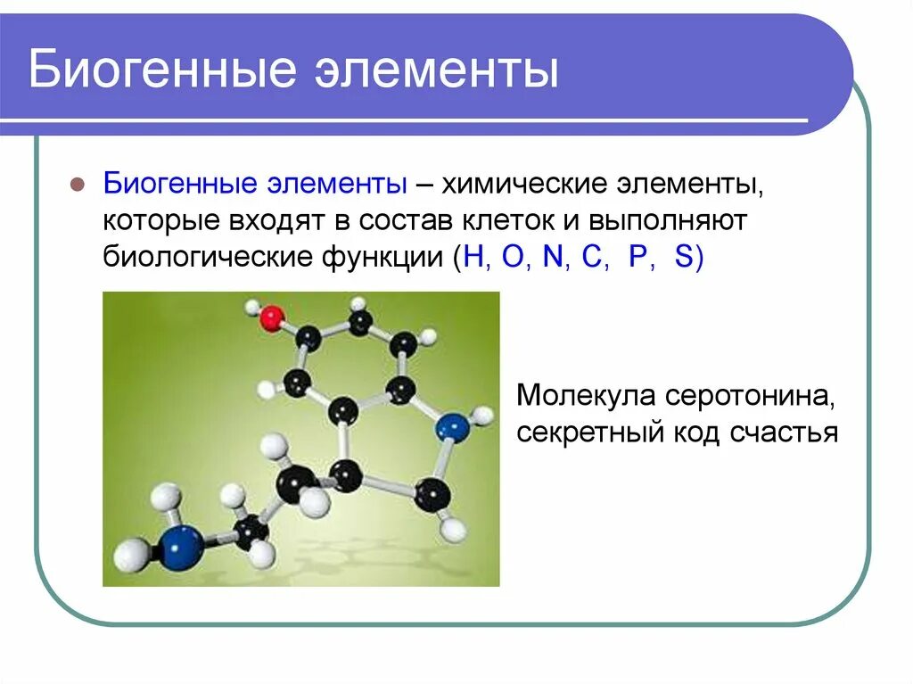 Биогенным называется вещество. Биогенные элементы это в биологии. Биогенные химические элементы. Химия биогенных элементов. Важнейшие биогенные элементы.