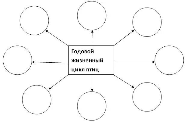 Биология 7 класс жизненный цикл птиц. Годовой жизненный цикл птиц схема. Схема годового жизненного цикла птиц схема. Этапы годового жизненного цикла птиц. Жизненный цикл птиц схема 7 класс.