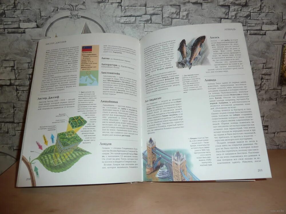 Хочу все знать читать. Детские книги хочу все знать. Хочу все знать читать. Хочу всё знать. Книги энциклопедии хочу знать.