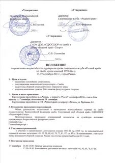 Положение о проведении выборов