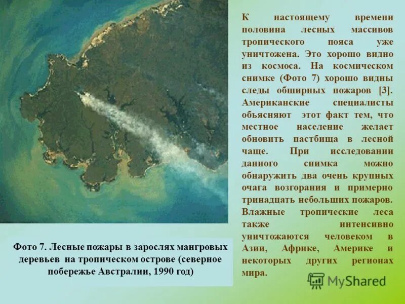 моря: арафурское, коралловое и тасманово. моря: арафурское, коралловое и тасманово. остров филлипа, австралия. острова большого барьерного рифа. австралия.