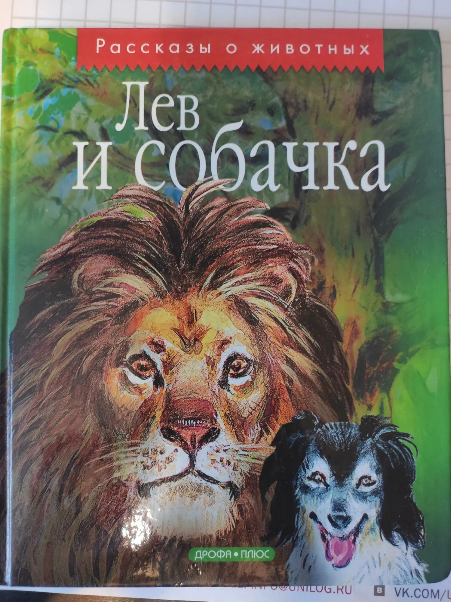 Толстой л.н. "Лев и собачка". Лев и собачка книга. Лев и собачка Лев Николаевич толстой книга. Лев толстой книги про собак.