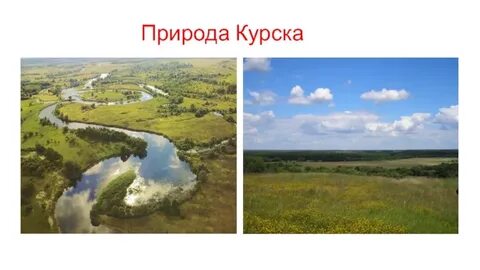 Курская область зачем
