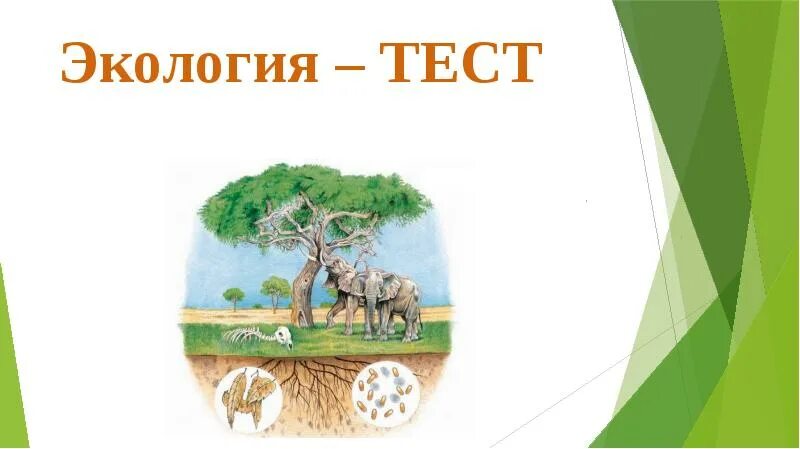 Экология тест 1. Тест экология. тест на тему экология. тест по экологии в картинках. тест про экологию 1 класс.