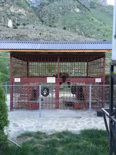 Верхняя балкария где