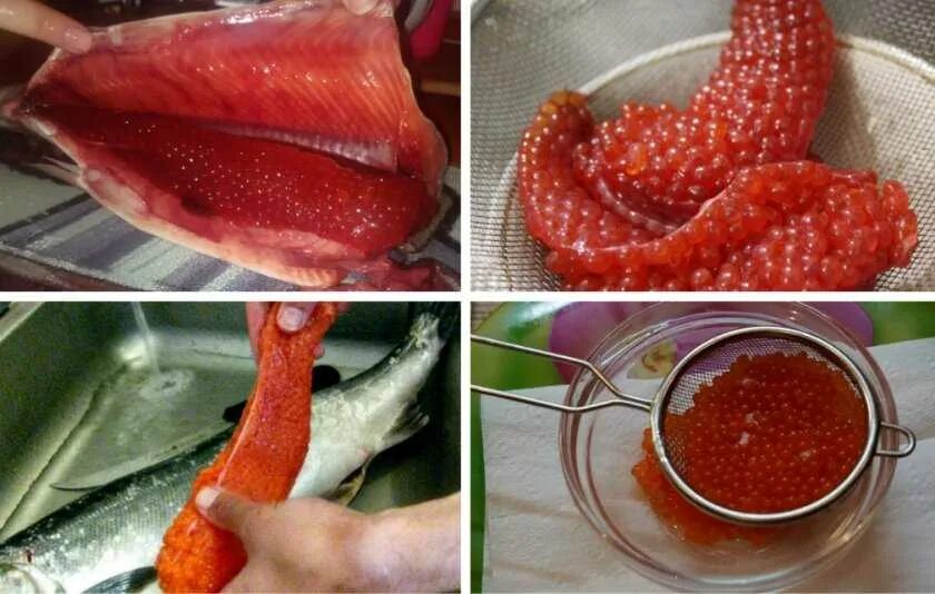 Как снять пленку с замороженной икры Икра СПб on Instagram: "❤ Наша самая вкусная икра: ⠀ *слабой соли *свежая *сухая
