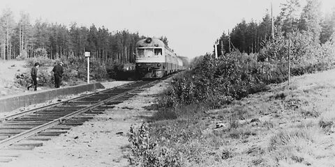 Рп5 яппиля