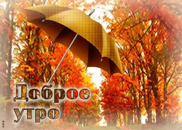 Доброе утро октября дождик