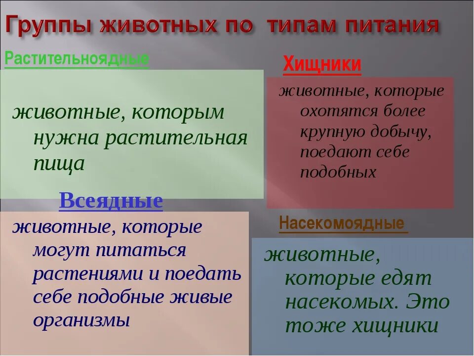 Опишите известные вам типы питания какой критерий