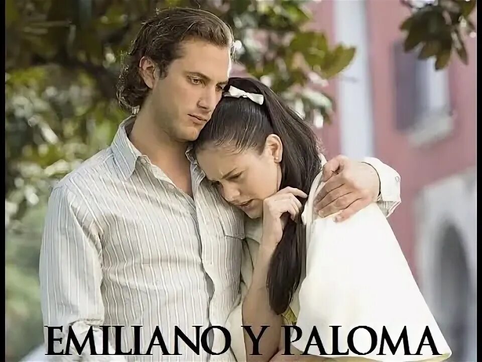 Paloma y raices. Духи мужские хомо. Paloma y raices. Paloma y raices. Tadzio парфюм.