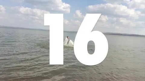Как выглядит день 16