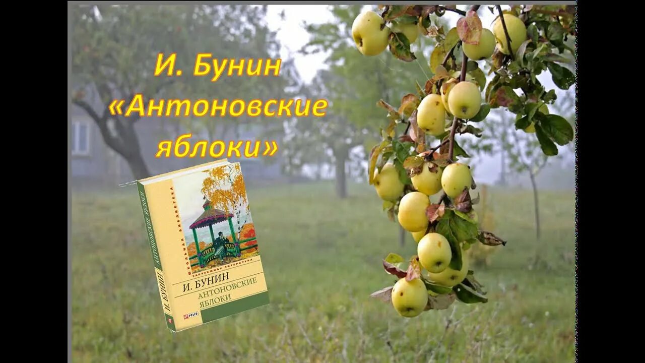 "антоновские яблоки". Композиционные приемы антоновские яблоки. Антоновские яблоки бунин охота. Бунин и. Бунин антоновские яблоки тема любви.