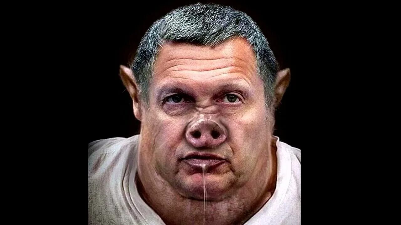 Соловьиный помет. Хрюканина. соловьёв визгун. соловьиный помёт соловьев.