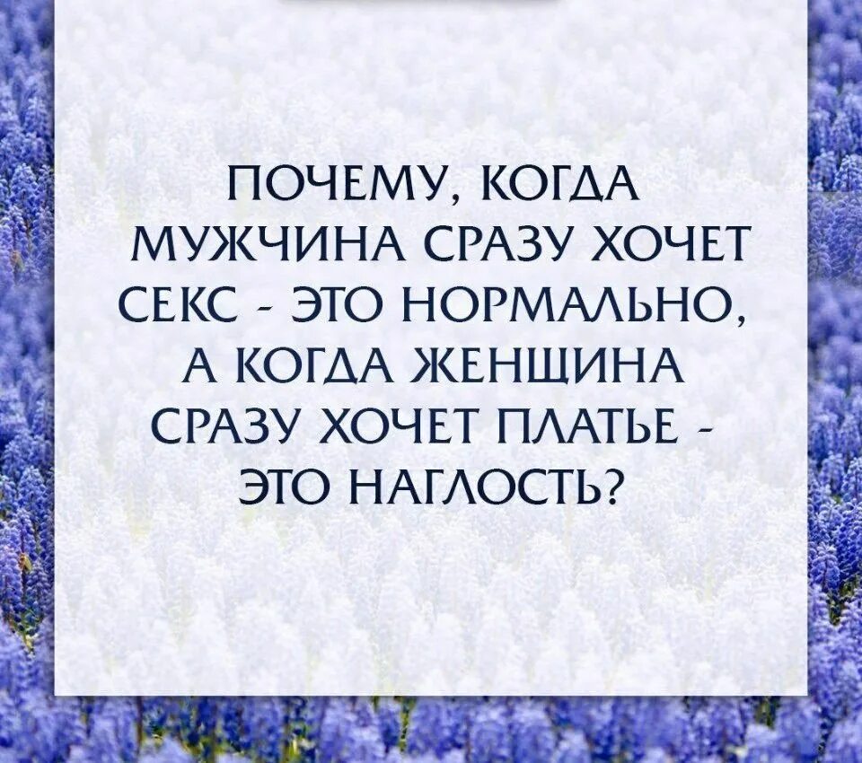 Наглость это. Афоризмы про наглость. цитаты про наглых людей. высказывания о наглости людей. афоризмы про наглость людей.