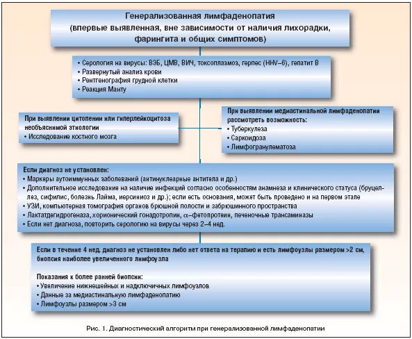 Диагностический алгоритм при лимфаденопатии. Генерализованной лимфаденопатии. Генерализованные лимфоузлы это. Классификация лимфаденопатии. Лимфаденопатия мкб 10 у взрослых