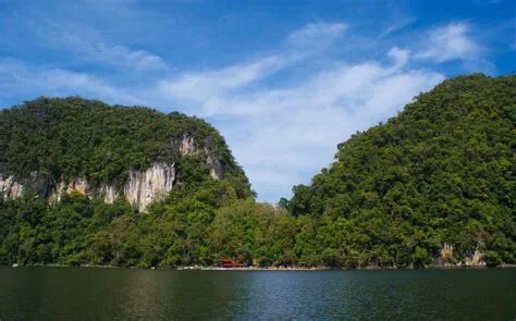Dayang big