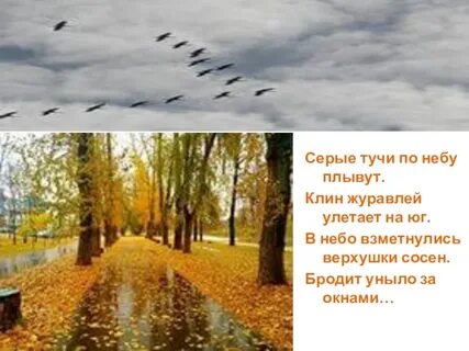 Стояла глубокая осень