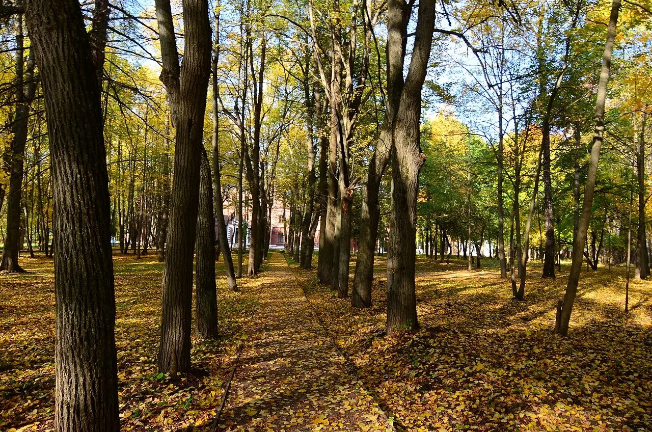 Парк усадьбы фухсберг калининград. Парк усадьбы яновских. Парк усадьбы фряново. Парк усадьбы яновских. Калуга парк усадьбы яновских парк усадьбы яновских.