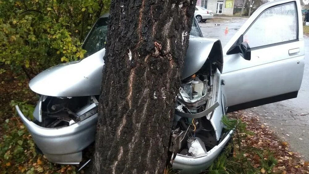Брянские новости сегодня карачев. Машина врезалась в дерево. Машина въехала в дерево.