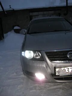 Туманки альмера