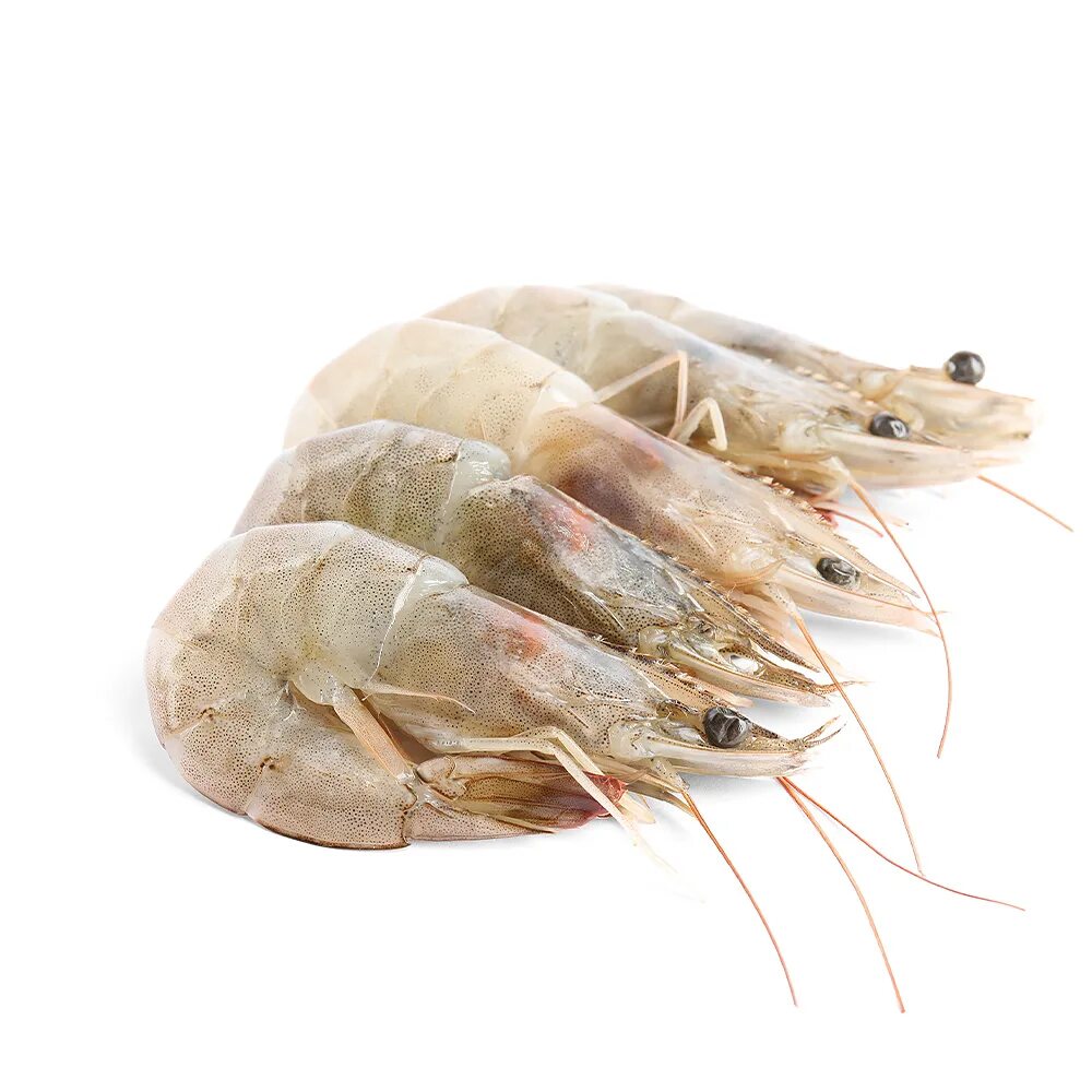 Креветки белоногие 50/70. Креветки vici белоногие в панцире с головой. Креветки белоногие королевские. Креветка королевская ваннамей 51/60. Креветки белоногие королевские.