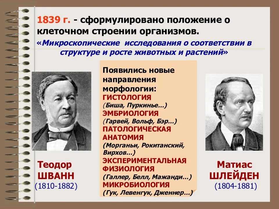 Т шванн сформулировал. Теодор шванн микроскопические исследования. теодор шванн вклад в развитие гистологии и эмбриологии. шванн вклад в медицину гистологию. микроскопические исследования в новое время.