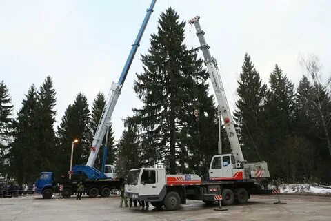 Ели поехали