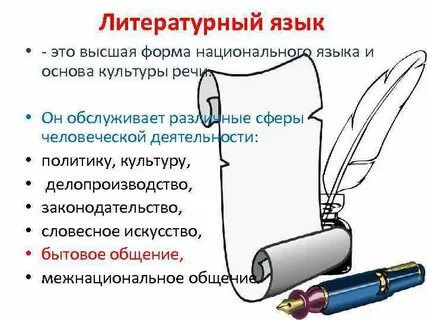 Определение слова литературный язык