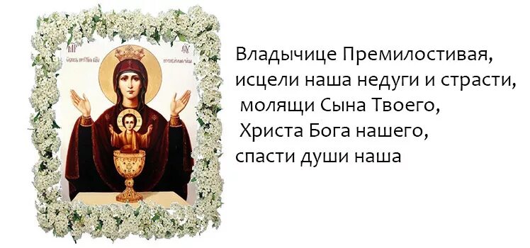 Сильные молитвы против пьянства. Молитва против пьянства. молитва от пьянства. молитва от пьянства сильная. короткие молитвы от пьянства.
