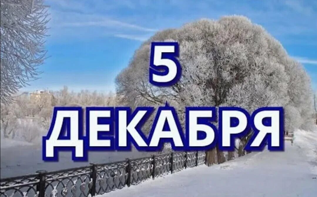 5 Декабря картинки. 29 Декабря картинки. 2 Декабря день. 5 Декабря календарь. 2 декабря день 2023