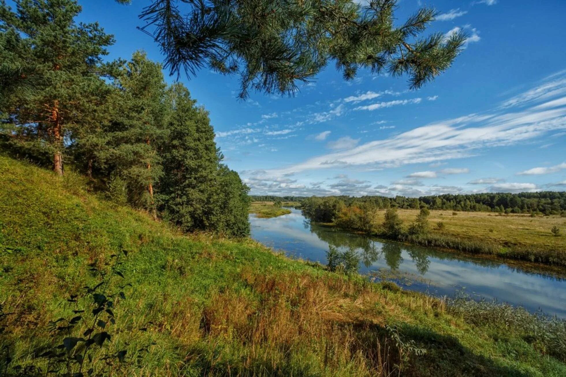 Реки ярославского края. Река солоница. Солоница река ярославль. Озеро неро ярославская область. Ярославль река нерль.