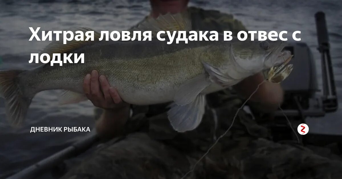 Оснастка на судака в отвес Ловля судака на тюльку зимой снасти и оснастка, как и где ловить