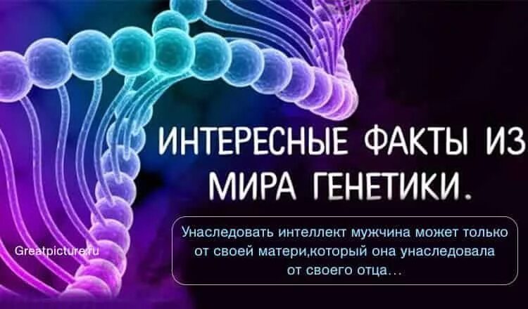 Генетика интеллект передается. Генетика интересные факты. интересные факты о генетике человека. удивительные факты из генетики.