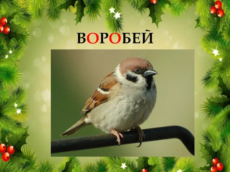 Слово воробей 8. Слово воробей. Лексическое значение слова воробей. Пословица слово не воробей вылетит не поймаешь. Слово воробей вылетит не поймаешь.