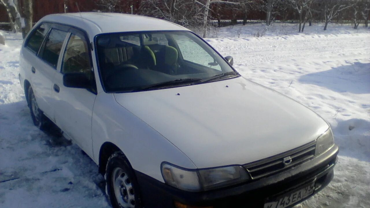 Тойота королла 100 универсал. Toyota corolla 102 кузов. Тойота королла 1998г. Тойота королла 100 кузов универсал. Toyota corolla ee100.