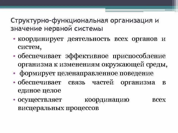 Структурные особенности организации. Структурно-функциональная организация нервной системы. Структурно-функциональная организация центральной нервной системы. Структура функциональная организация нервной системы. Структурно функциональные принципы организации нервной системы.