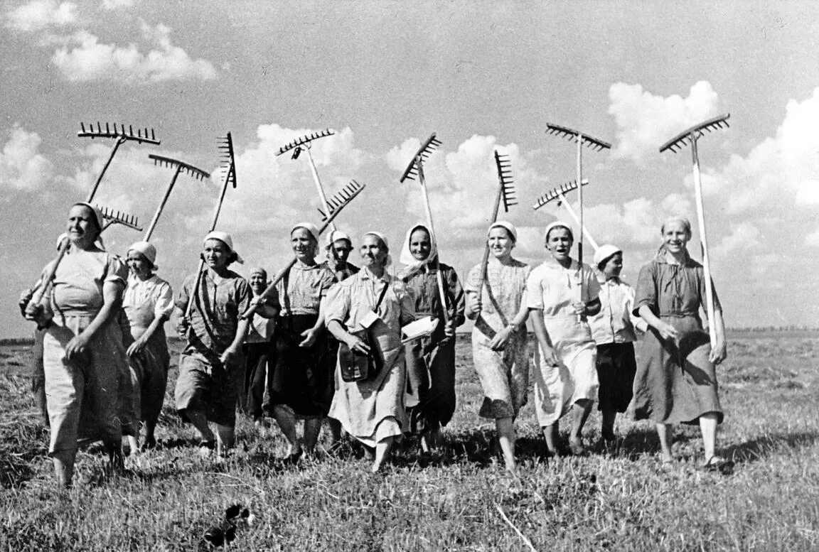 Кубань 1930. Коллективное хозяйство колхозники ссср. колхоз 1930. колхозы ссср 1930 годы. колхоз в ссср в 30-е годы.