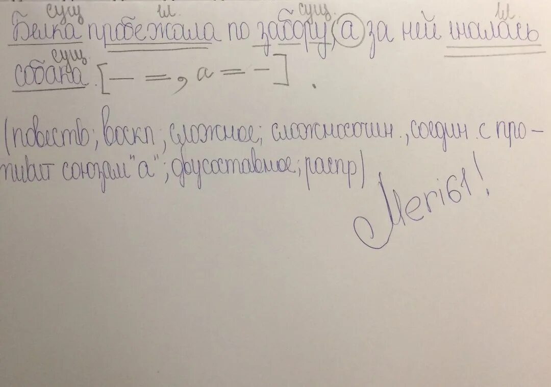 Поляну большими скачками пересекала белка 4. Синтаксический разбор предложения. Белка синтаксический разбор. Синтаксический разбор предложения белка. Веселые бельчата резвились у сосны синтаксический разбор.