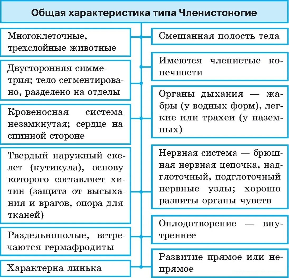 Характеристика типов классов животных. Таблица описания членистоногих. Общая характеристика членистоногих 7. Общая характеристика типа членистоногих. Тип Членистоногие общая характеристика.