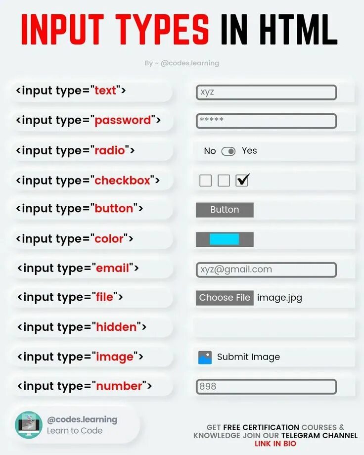 Инпут html. Input Type html. Виды input html. Form input Type.
