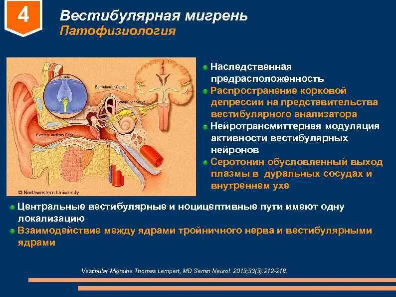 Вестибулярный нейронит симптомы и лечение. Вестибулярный нейронит симптомы и лечение