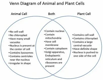 Many plant and animal