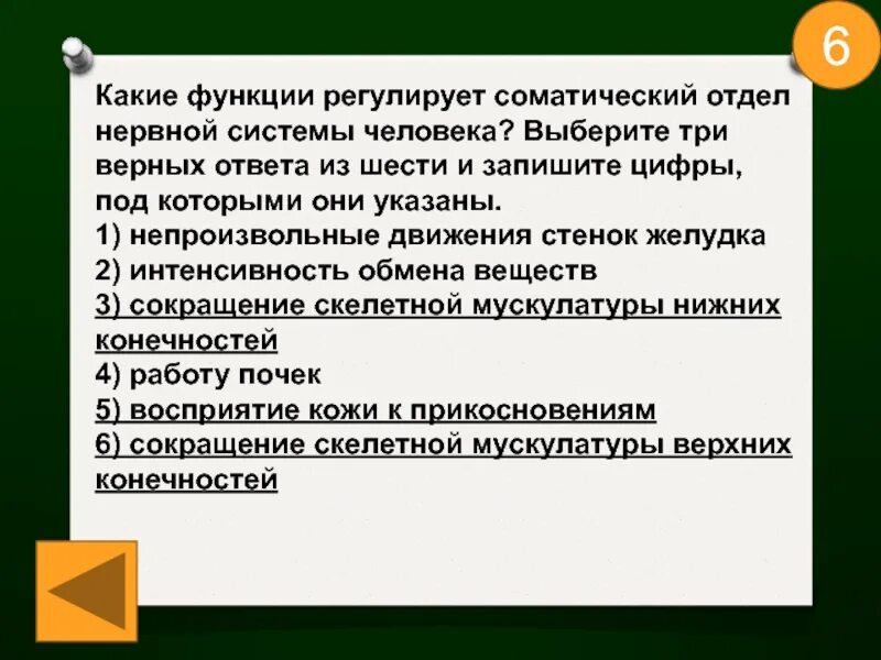 Какие функции регулируют. Какие функции регулирует соматический нервный отдел. Соматический отдел нервной системы человека регулирует. Функции соматической нервной системы. Соматическая система функции.