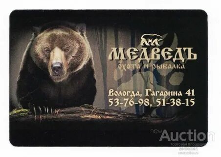 Медведь вологда