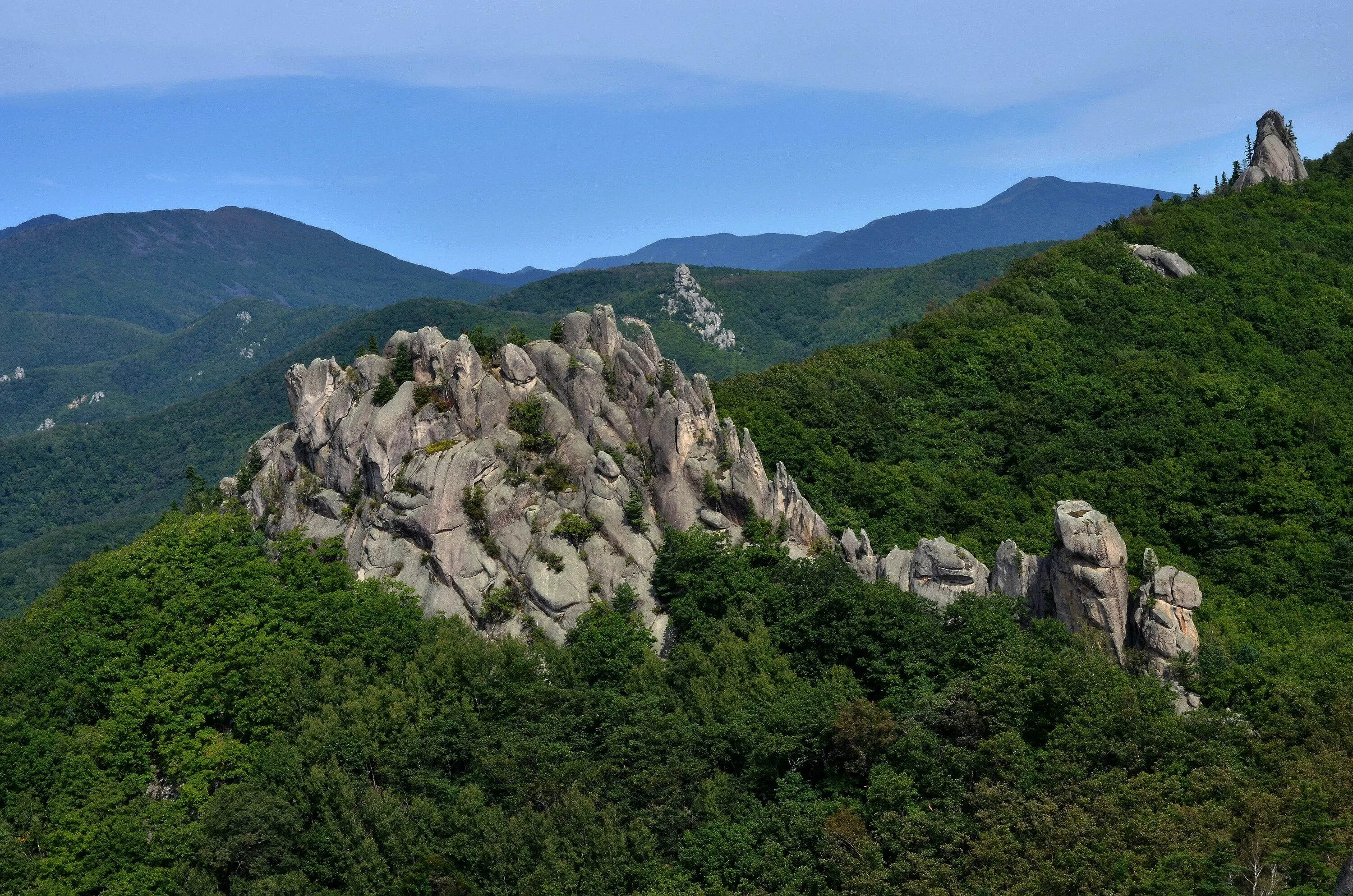 Лазовский район Приморский край. Парк драконов Лазовский заповедник. Парк драконов Приморский край санаторий. Хребет дракона Приморский край. В каком искать краю