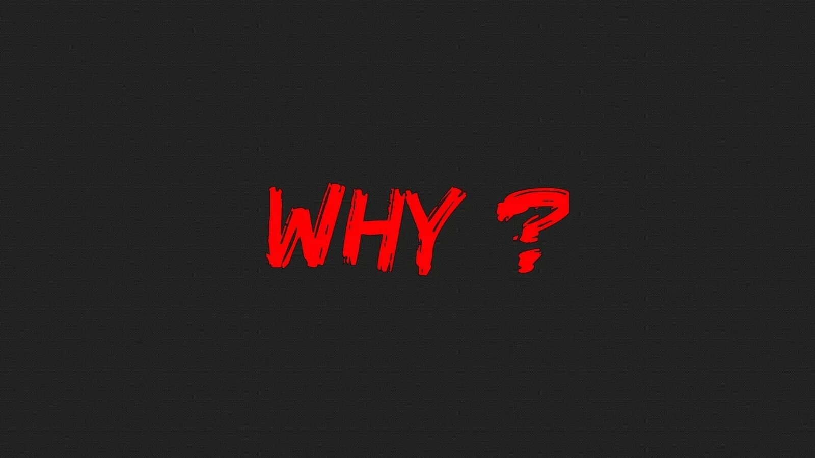 Why text. Надпись why. why? для аватарки. why not обои. обои минимализм 2560x1440.